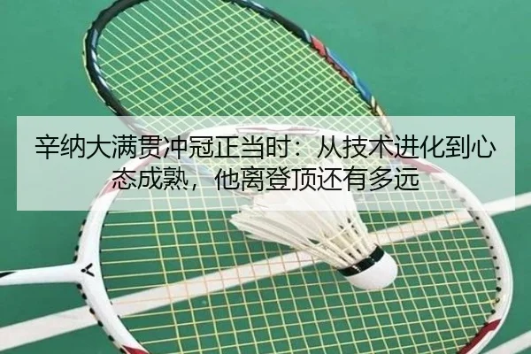 辛纳大满贯冲冠正当时：从技术进化到心态成熟，他离登顶还有多远（huatihui）